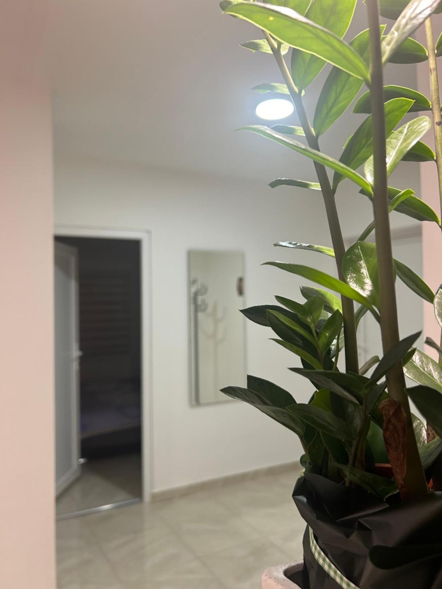Apartman Diamond Lux Surčin Buitenkant foto
