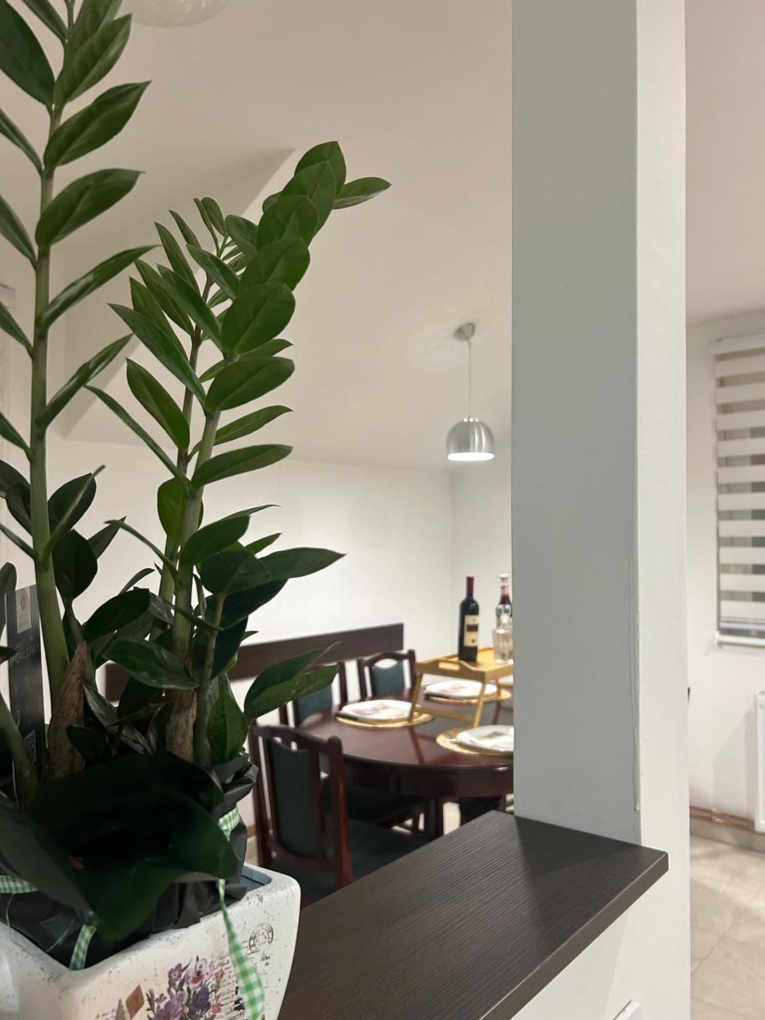 Apartman Diamond Lux Surčin Buitenkant foto